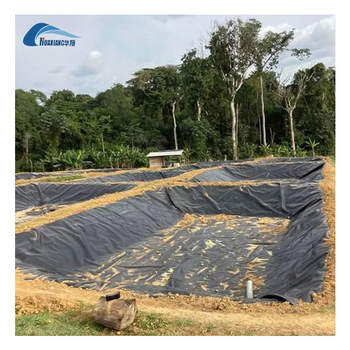 Heavy-Duty Black HDPE Geomembrane Roll 0.5mm Polyethylene Pond Liner for Fish
