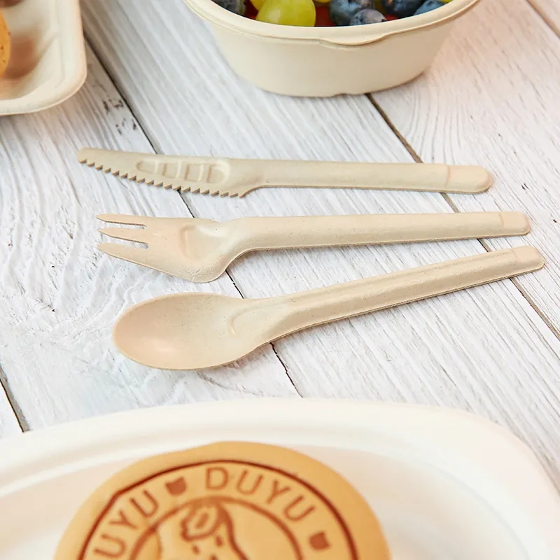 Biodegradable Cutlery Sets Eco-Friendly Sugarcane Bagasse Disposable 6inch Spoon Takeaway