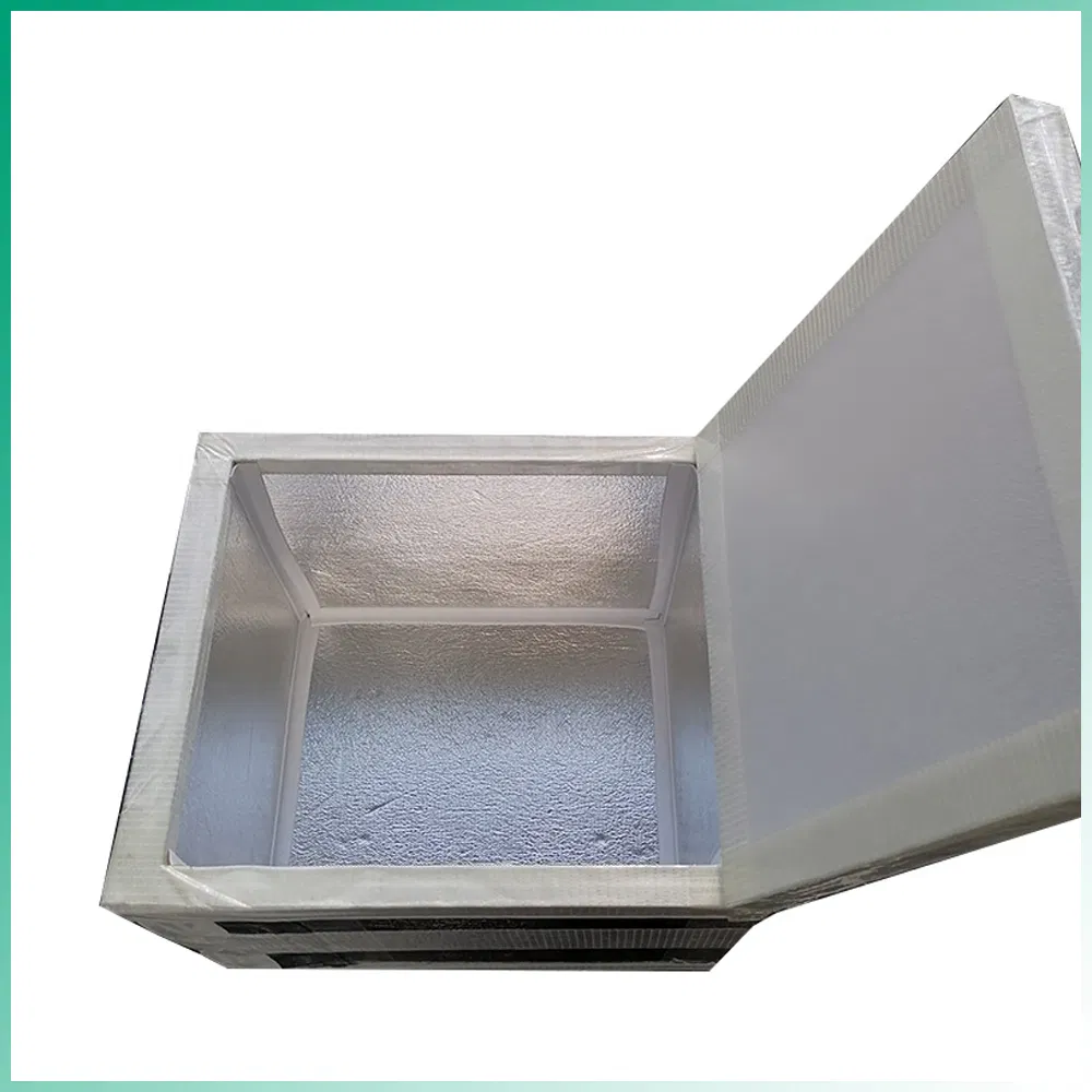 Space-Saving Cost-Effective Custom-Sized Insulated Box for Delivering Chilled & Fresh Goods Insulated Box