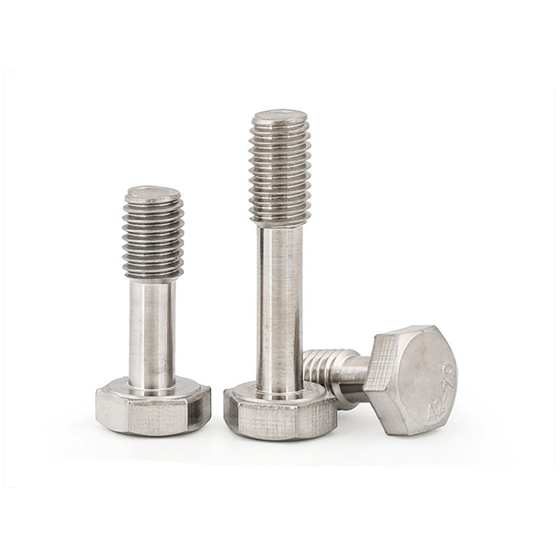 High Quality Customized Stainless Steel 316L Passivated Slotted Hexagon Head Captive Screw
