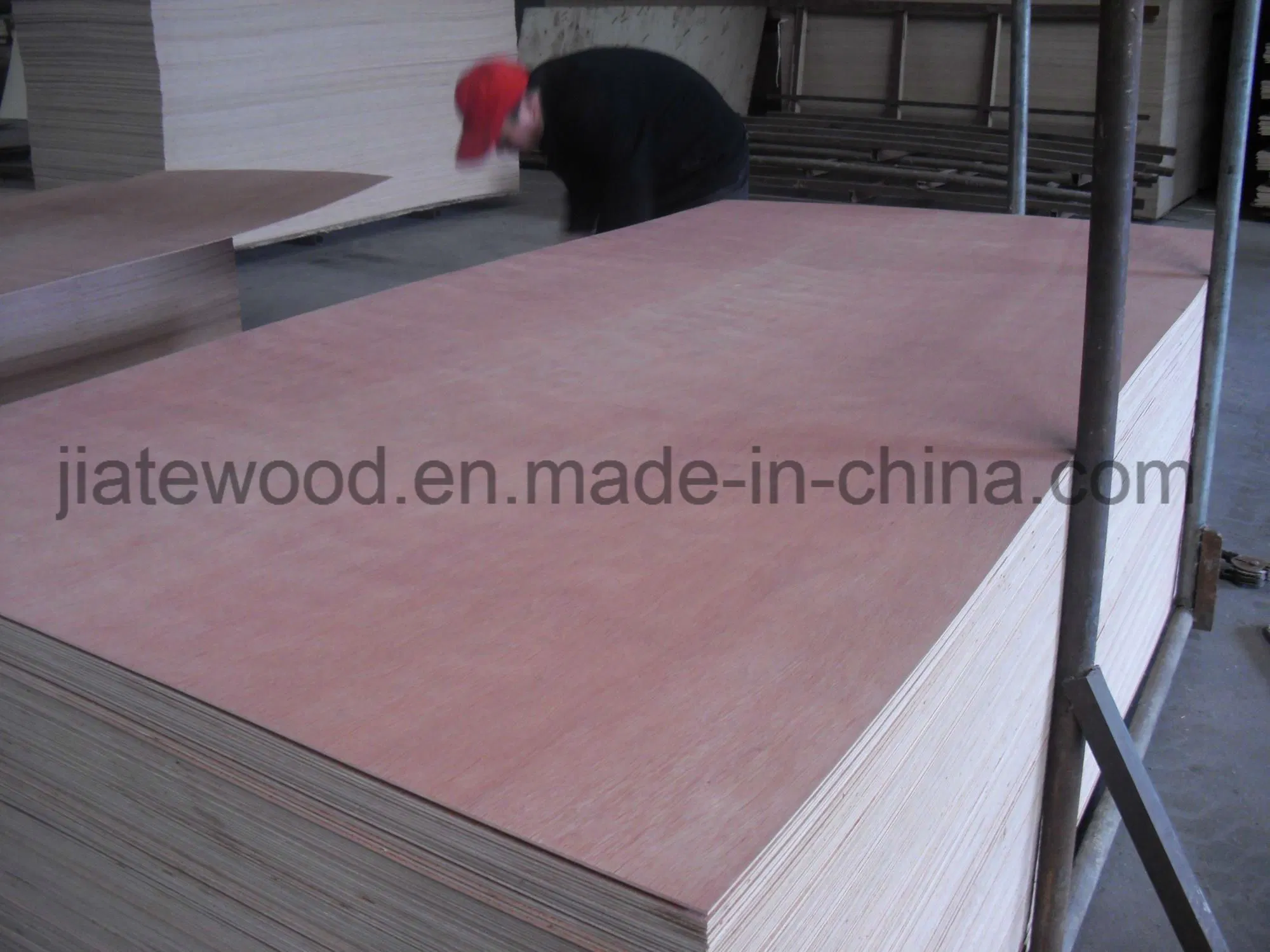 Low Price Plywood for Packaging Moisture Resistant (1220X2440 mm, 12 mm thick)