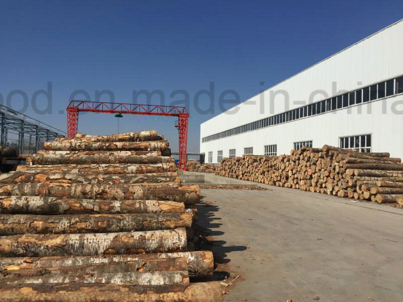 Top Quality Commercial Ply Wood Used for Furniture and Construction