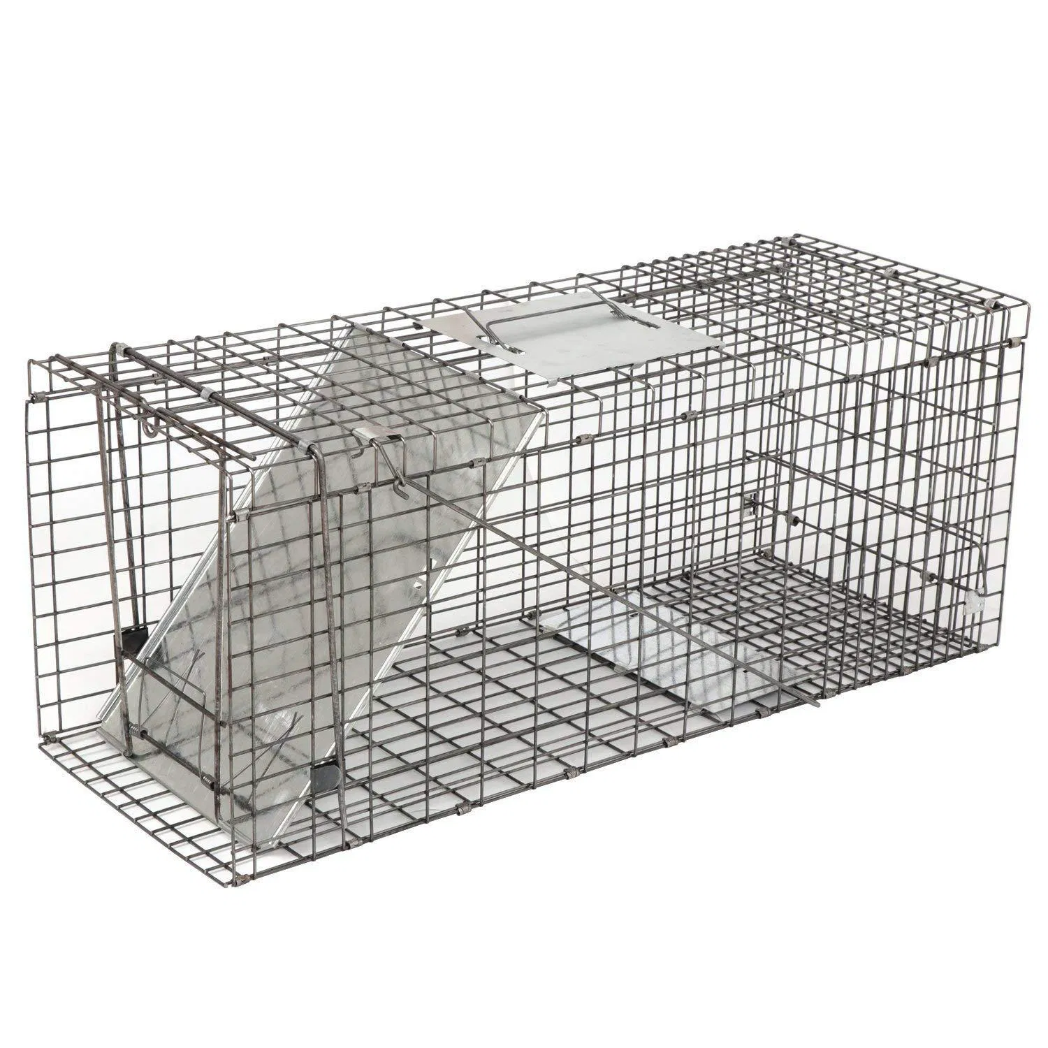 Large Humane Collapsible Live Animal Trap Cage Trapping Rat Possum Raccoon
