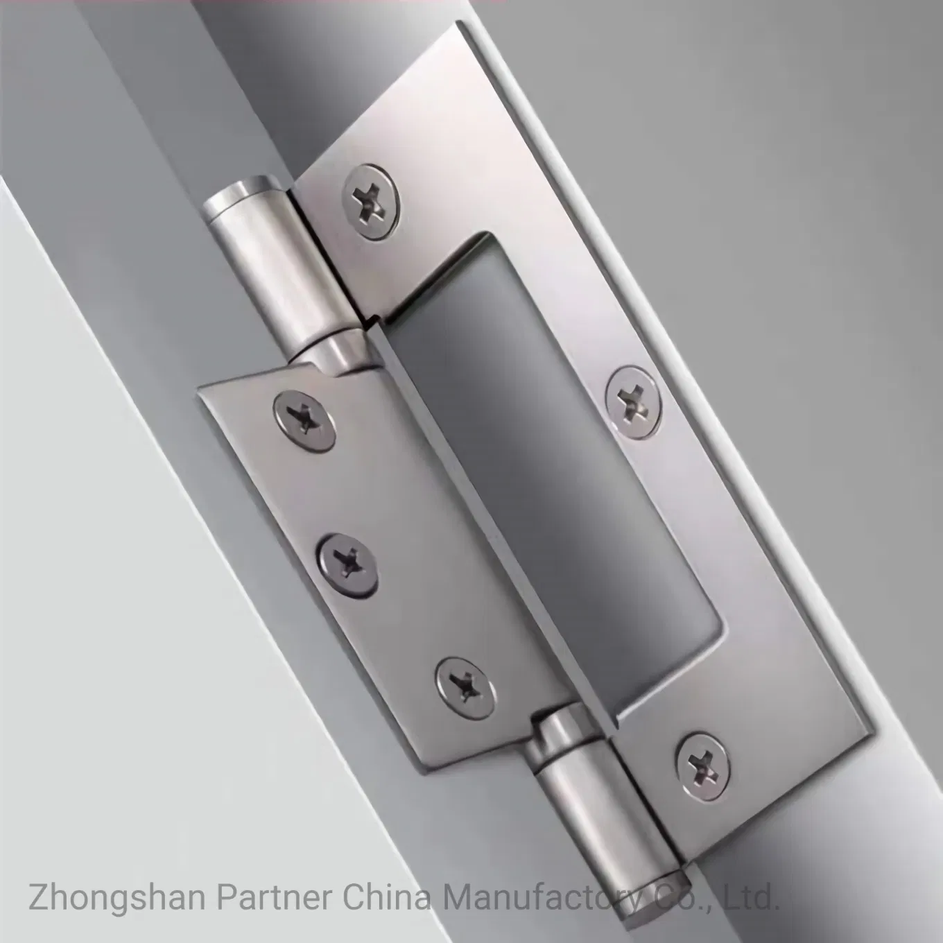 Stainless Steel Door Accessories Flush Hinge