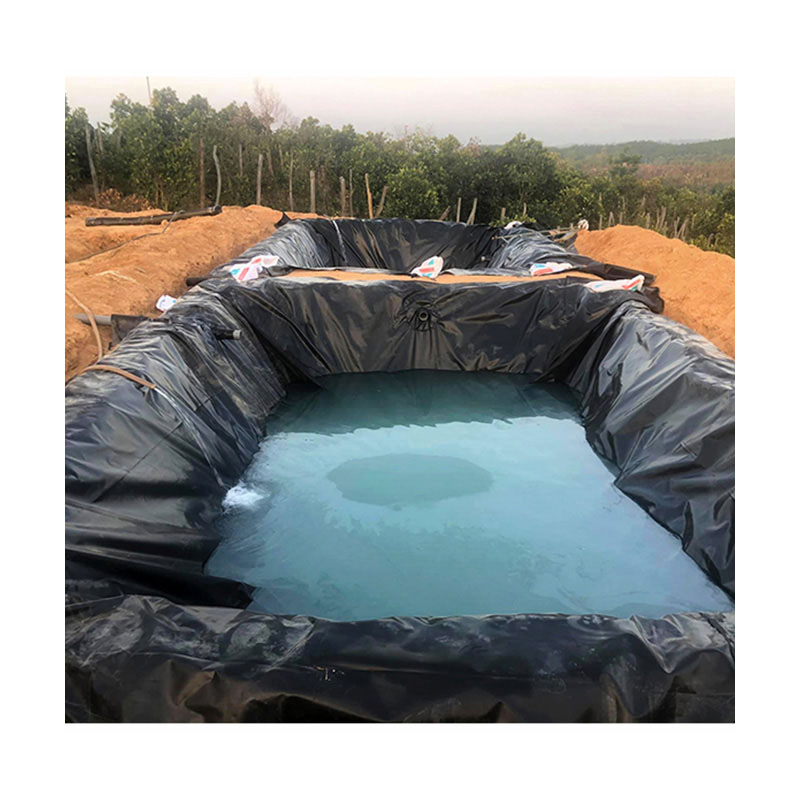 1mm 2mm Waterproof Geomembrane Sheet Plastic Artificial Lake Dam Liner Swimming Pool HDPE Geomembrane