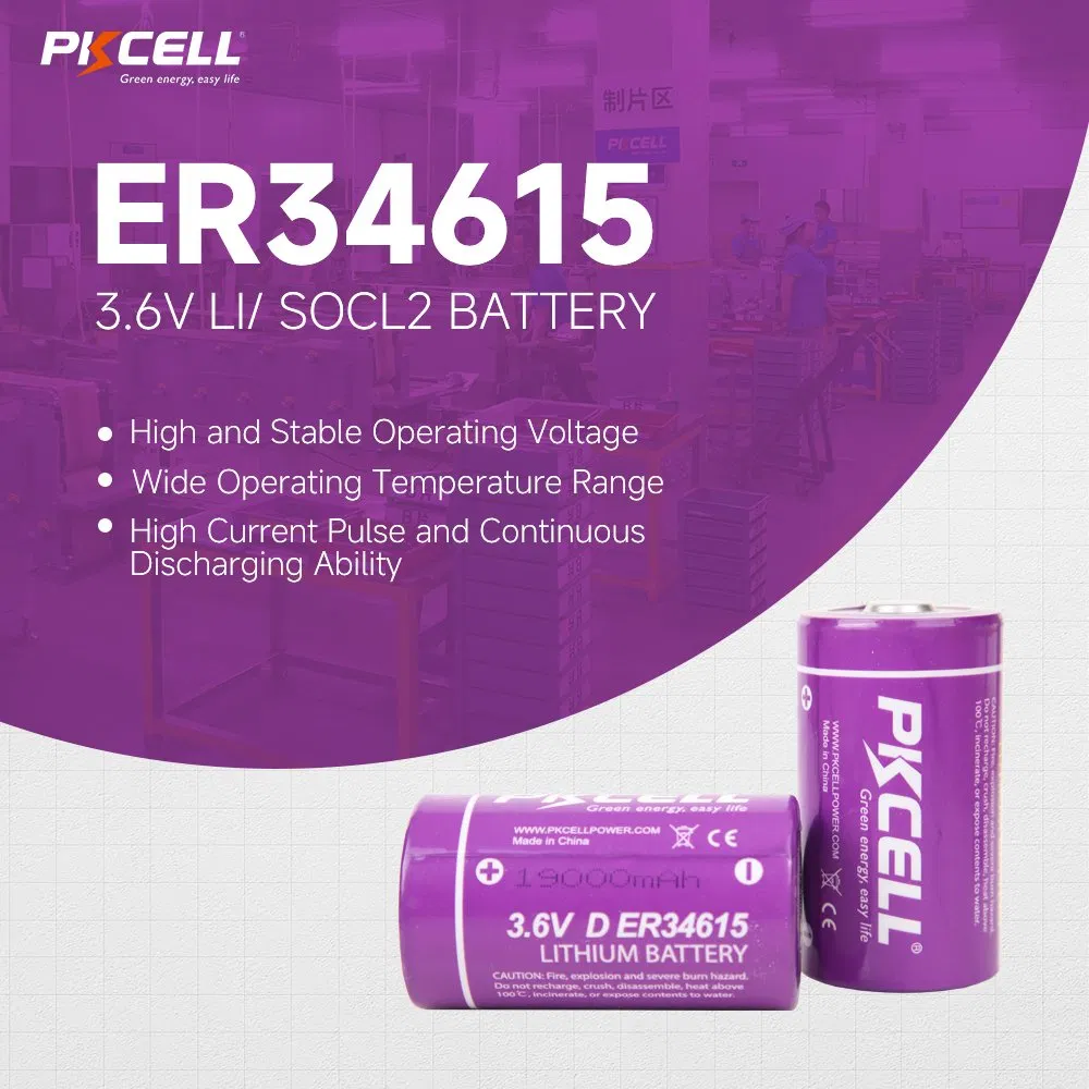 Pkcell Er34615 3.6V 19000mAh Energy Type Li-Socl2 Lithium Primary Battery D Size