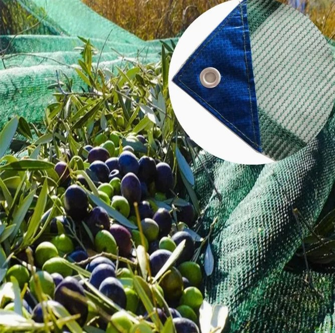 Manufacturer HDPE Olive Net Harvest Net Collect Net Agriculture Shade Net