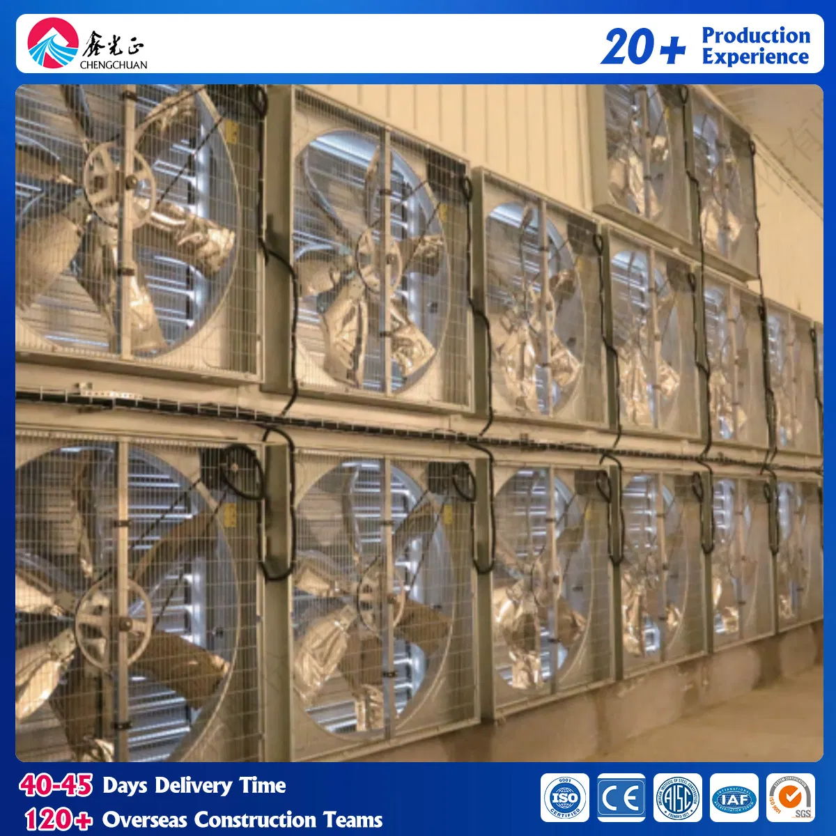 Premium Chicken Coop for Healthy Poultry Farming