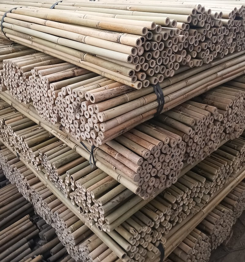 Bamboo Handle /Cheap and High-Quality Bamboo Poles