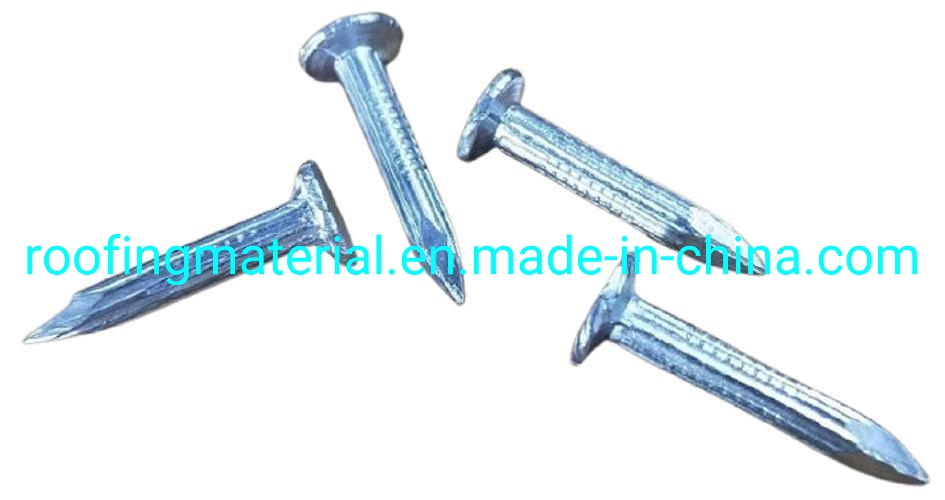 Steel Nail Roofing Accessories Roofing Nails