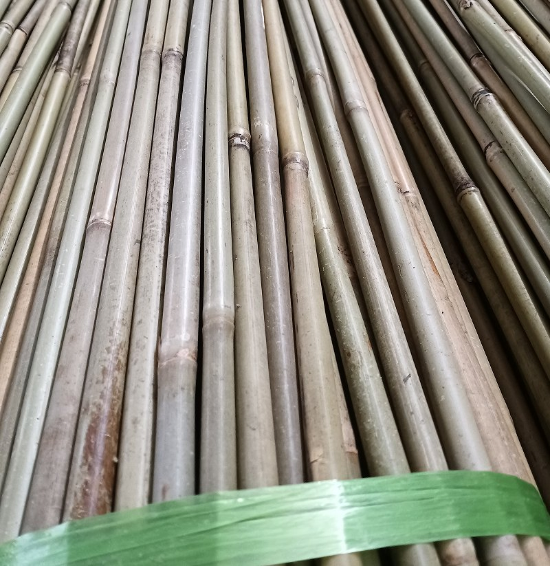 Bamboo Garden Stake /Bamboo Scaffolding Pole