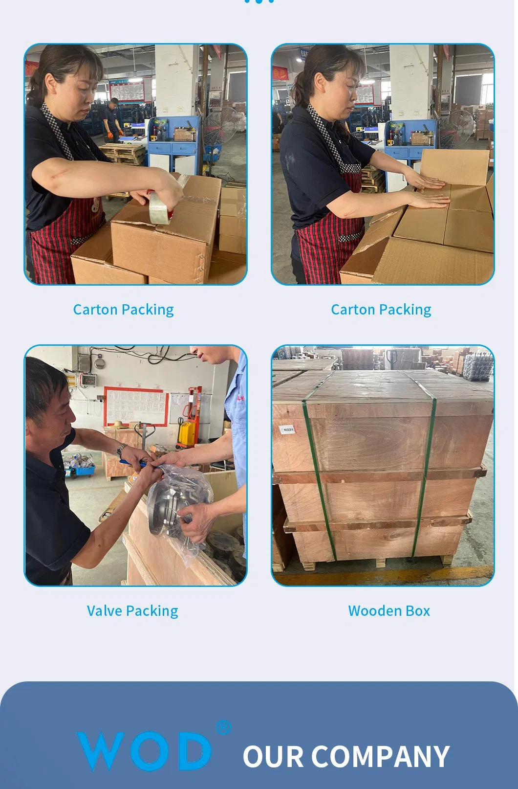 External Installation Medical Grade Sjfm/Wod/OEM Carton, Wooden Case Bsp Thread Y Strainer