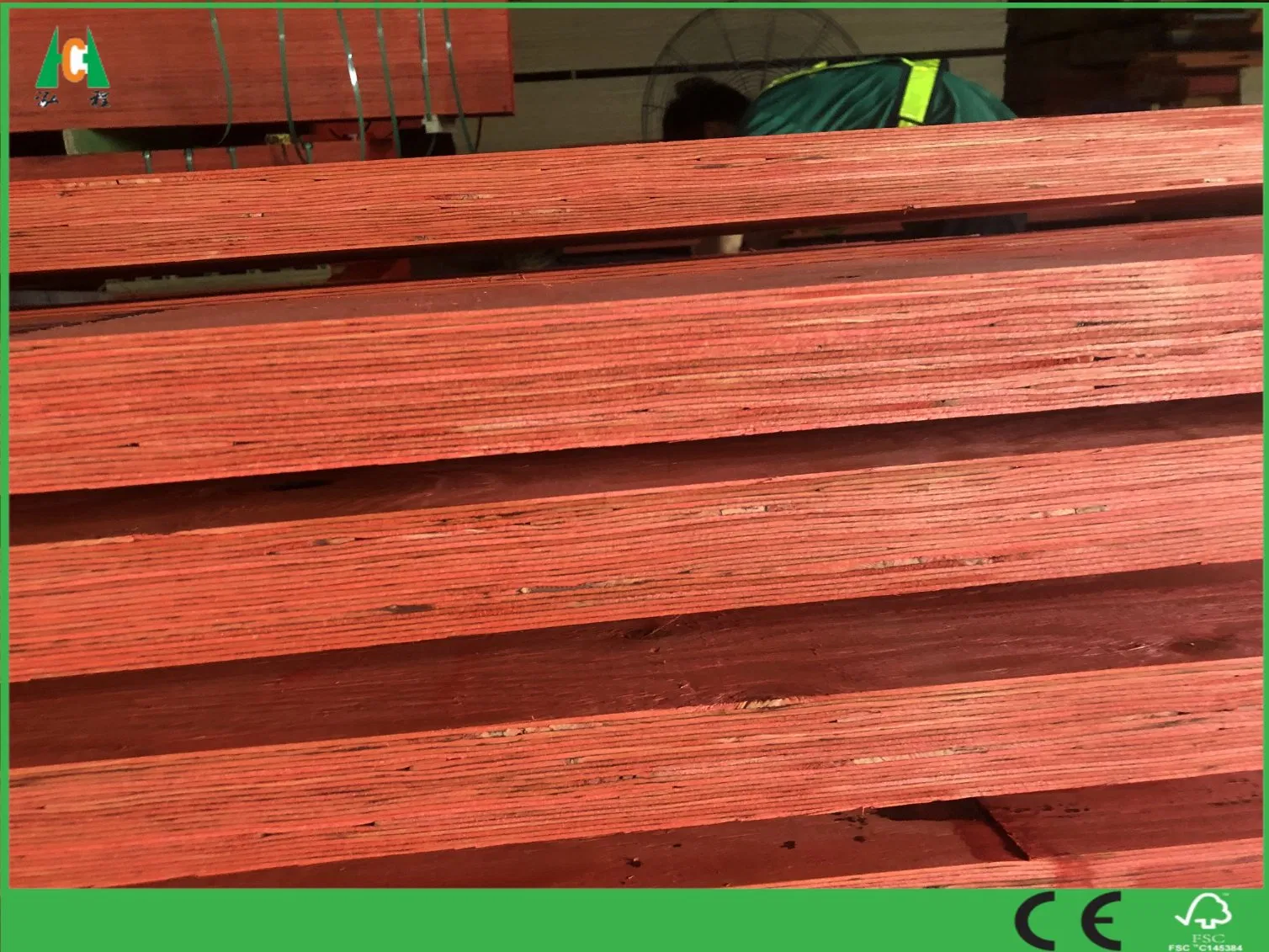 Australia Standard Certified F17/F22 LVL for Floor Joist and Ceiling Joist