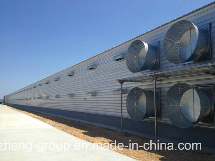 Professional Low Cost Light Steel Structure Duck House