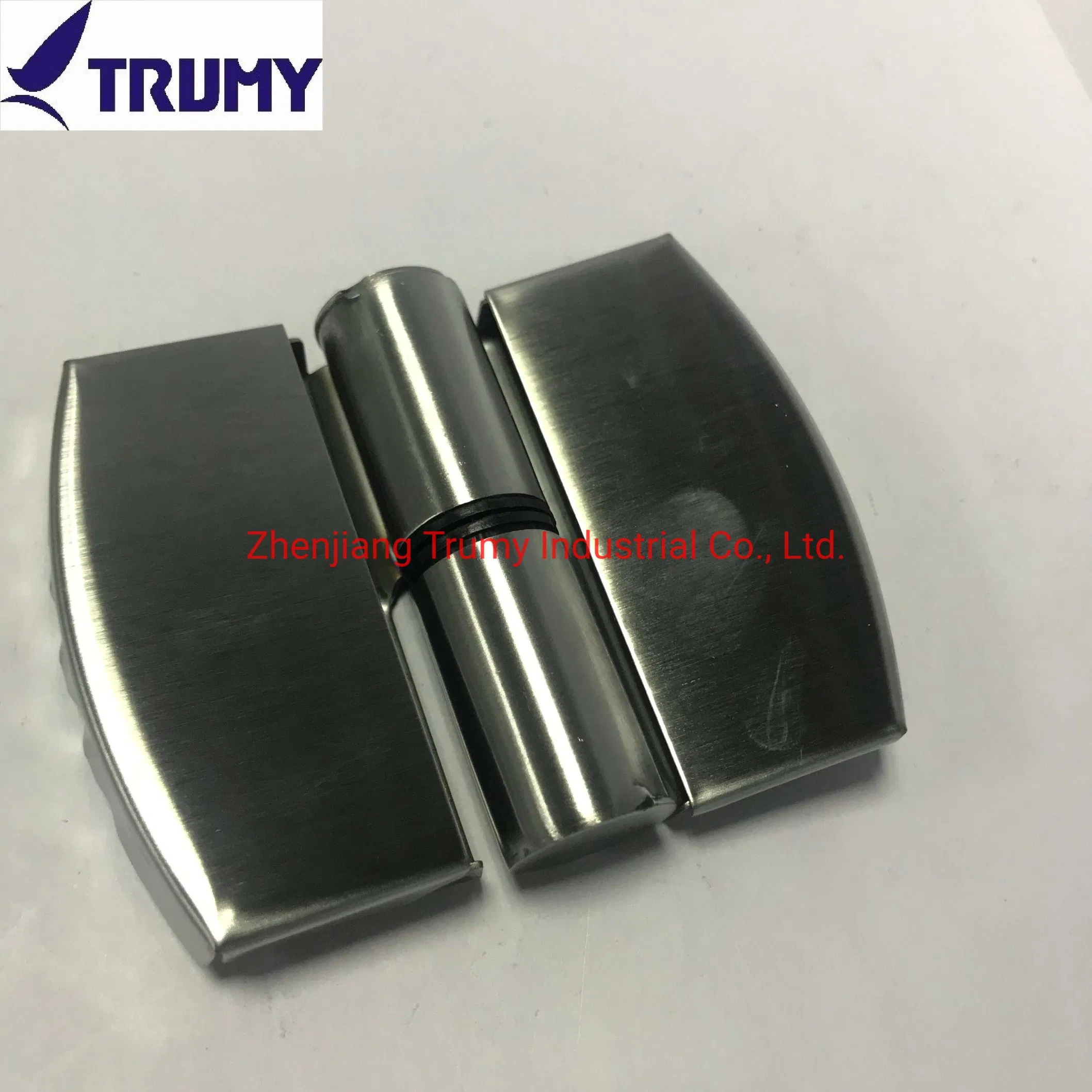 Zinc Alloy Toilet Cubicle Partition Hardware Door Hinges for Sales