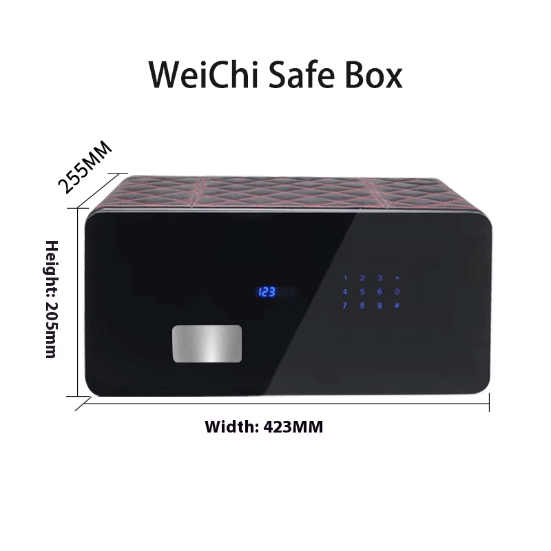 Secure Electronic Password Safe Box for Home Office Storage