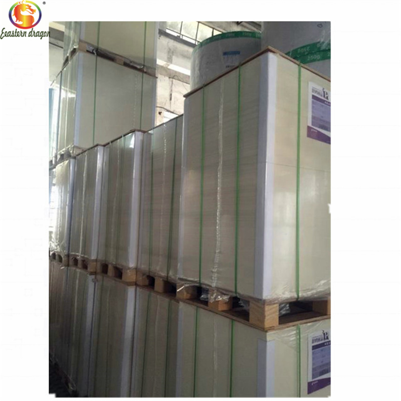 170-400GSM Folding Box Board/Fbb/Gc1/Gc2/C1s Ivory Board