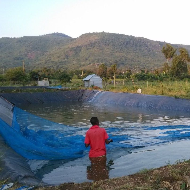 0.5-3mm Black HDPE Geomembrane Polyethylene Pond Liner for Fish Tank Construction