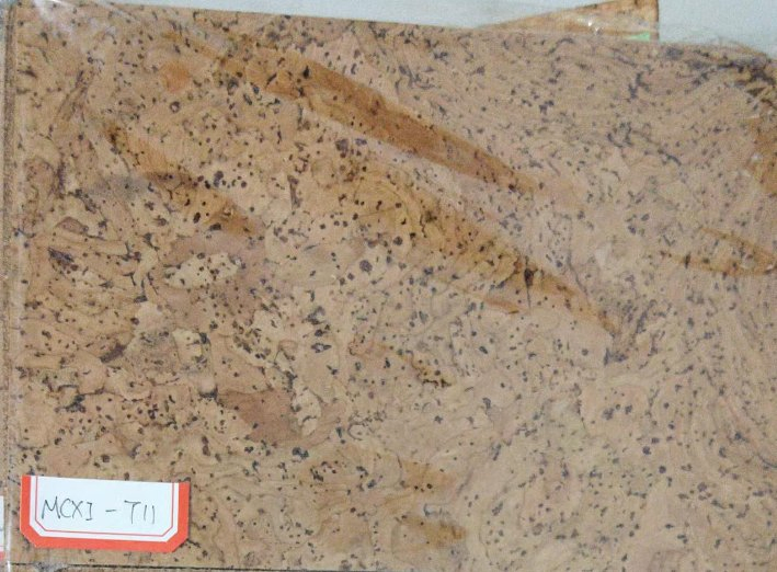 Eco-Friendly Cork Tiles for Children's Room