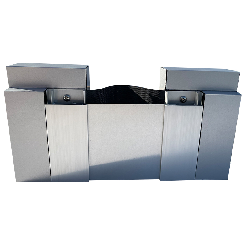 Recseed Type Concrete Construction Joint Wall Expansion Joint Cover for Buildings
