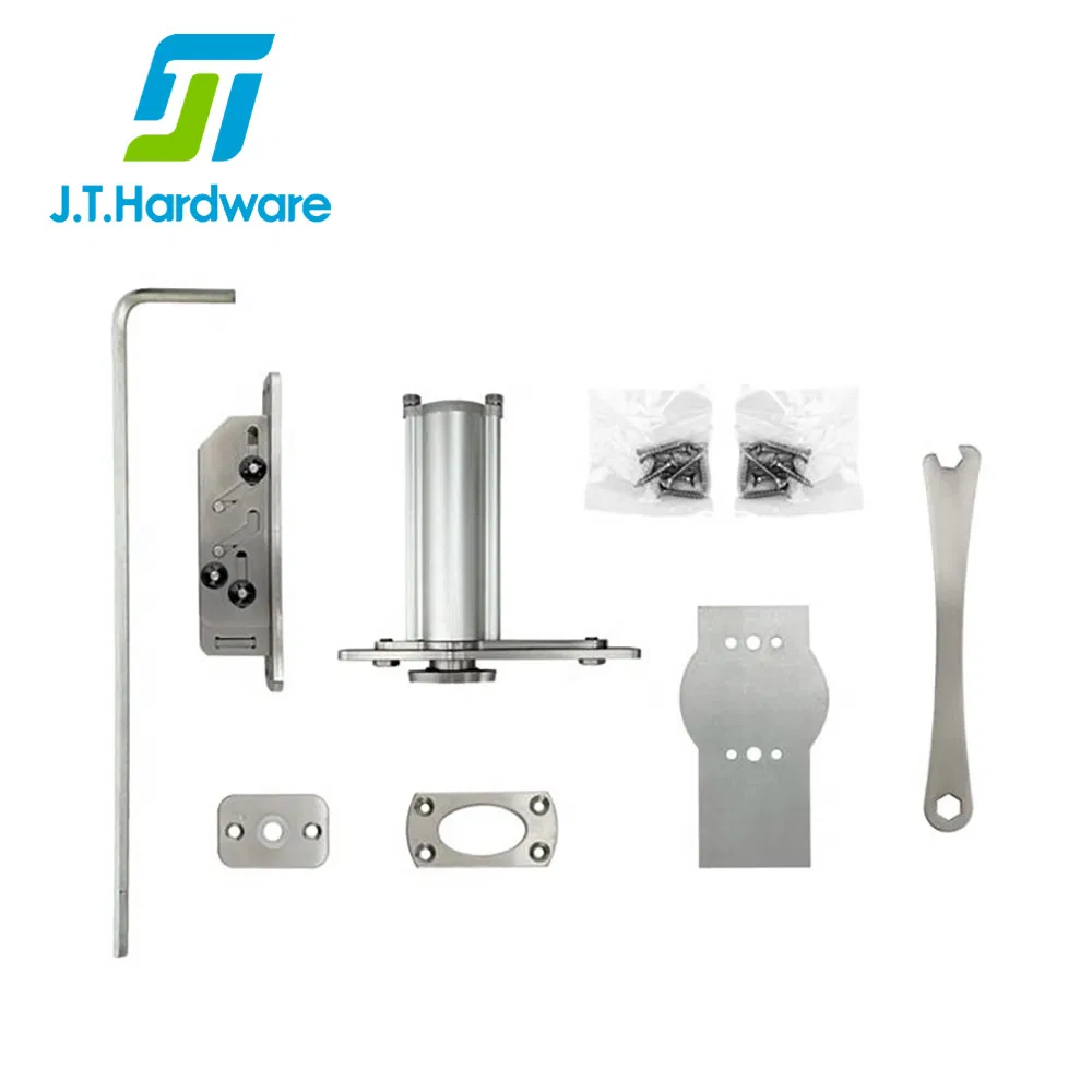 Frits Jg System One Concealed Wooden Door Adjustable 360 Degree Rotating Hidden/Invisible Stainless Steel/Aluminum Pivot Hinge