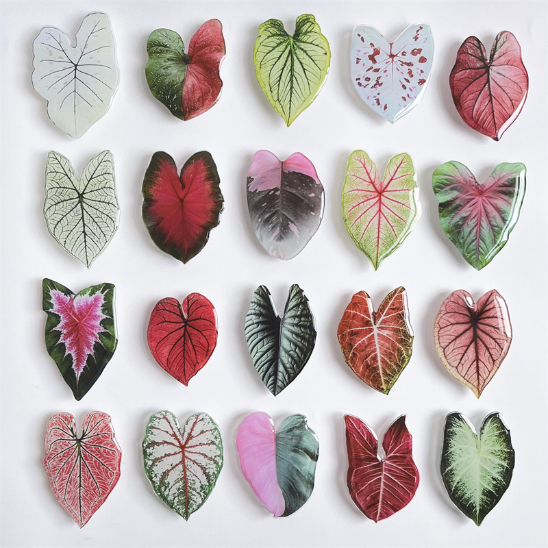 Popular Acrylic Phone Foldable Customized Phone Grip with Plant Leaf Design Acrylic Phone Holder