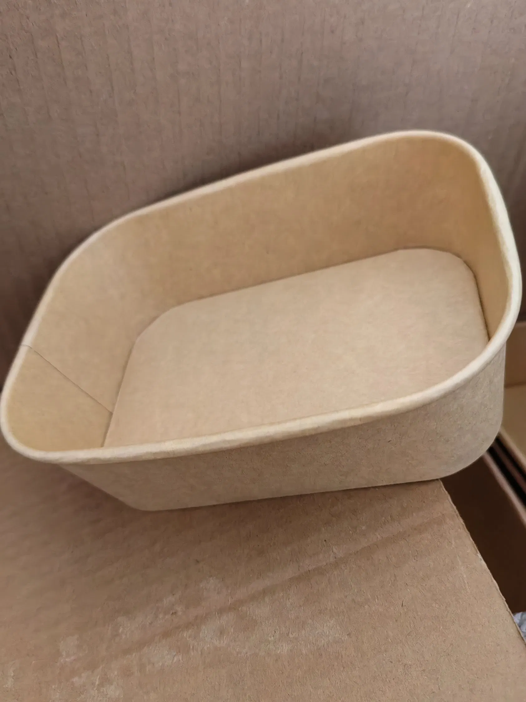 Disposable White Kraft Paper Salad Bowl with Lid