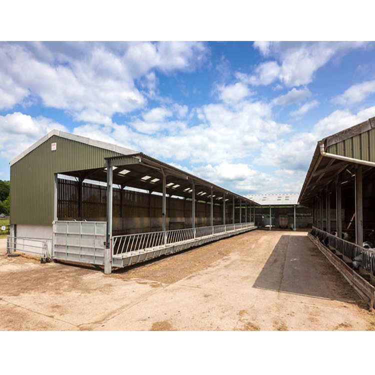 Anti-Seismic Design Cattle Shed Prefab Steel Structure Cow Shed