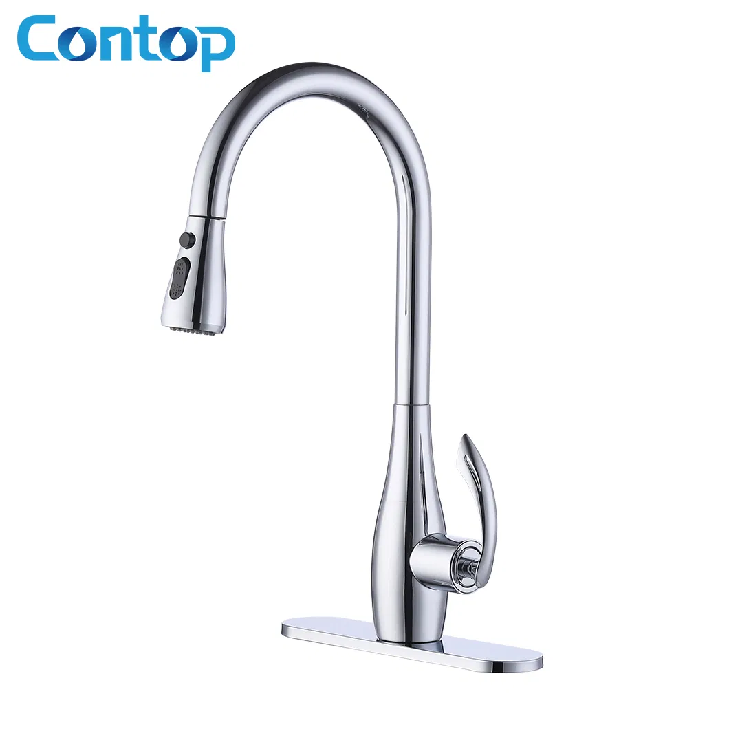 Выдвижной смеситель для кухни с душем, хром