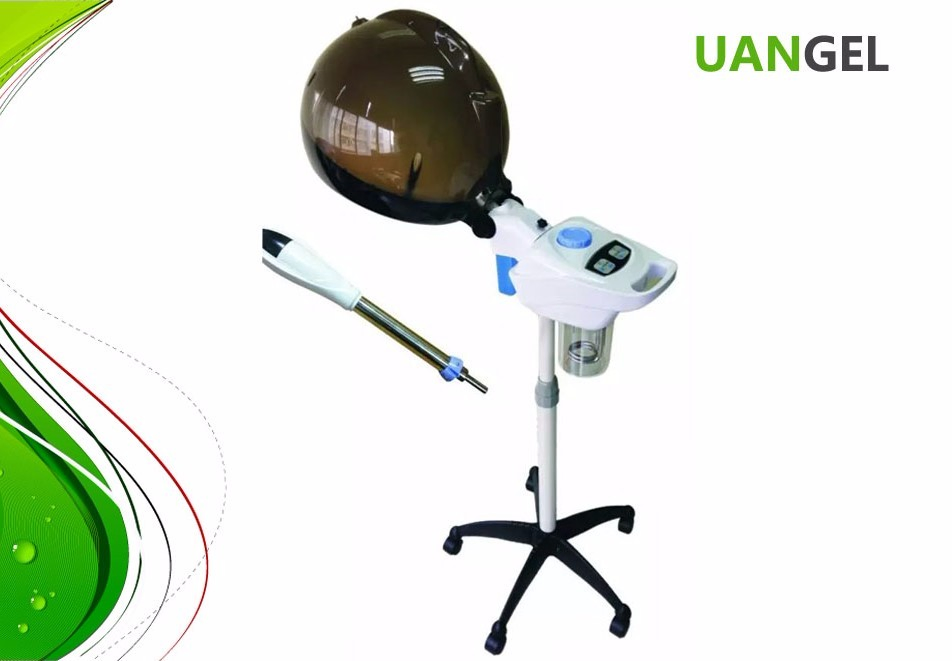 Face and Hair Steamer