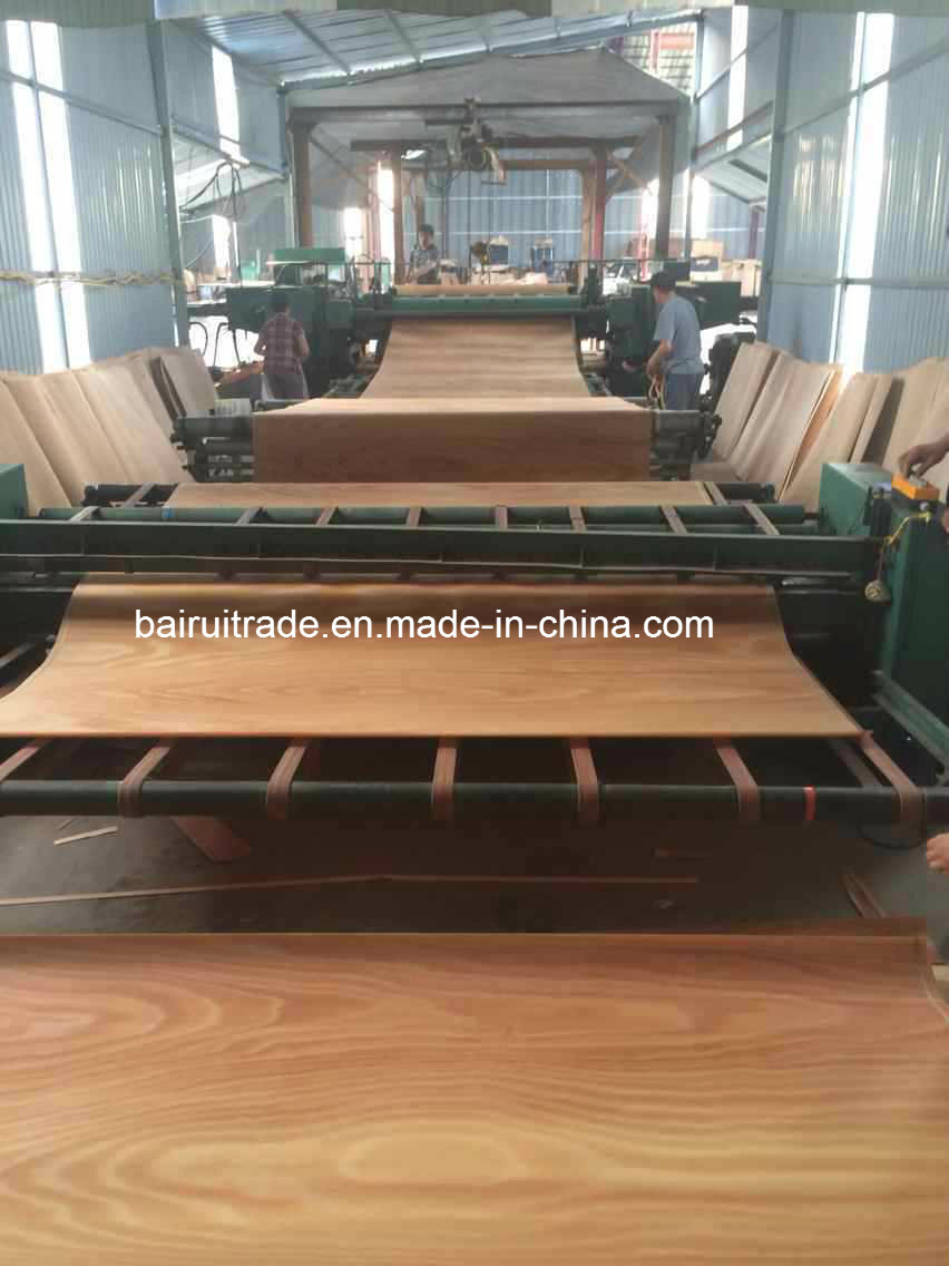 0.3mm Beech Birch Poplar Veneer for Making Plywood