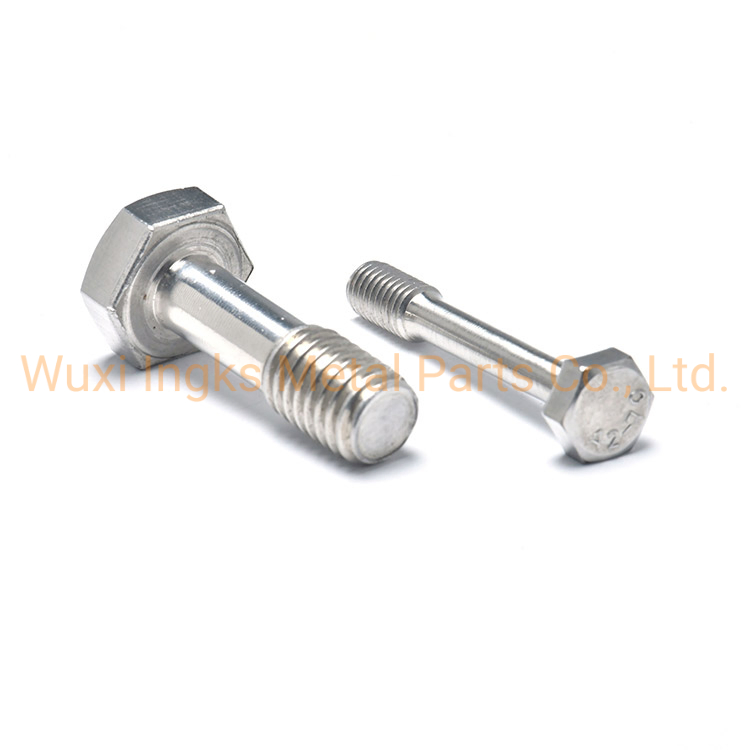 Stainless Steel 304 316 DIN933 Standard Hex Head Captive Screws