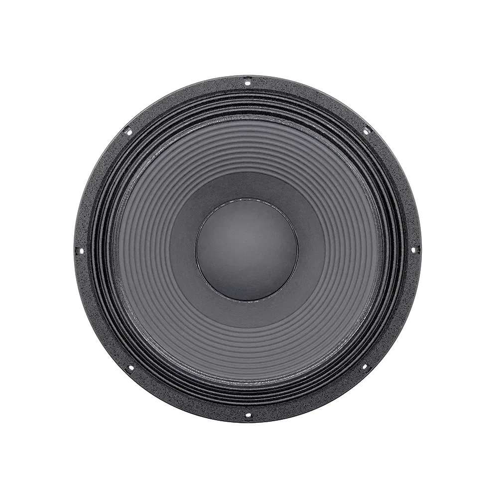PRO-Audio Speaker 21 Inch Subwoofer PA Sound System Stage Sub OEM