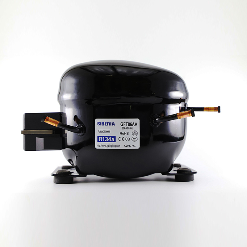 Bsf60AA Refrigeration Parts Lbp R600A AC Refrigerator Cooler Compressor 220-240V 50Hz for Sale