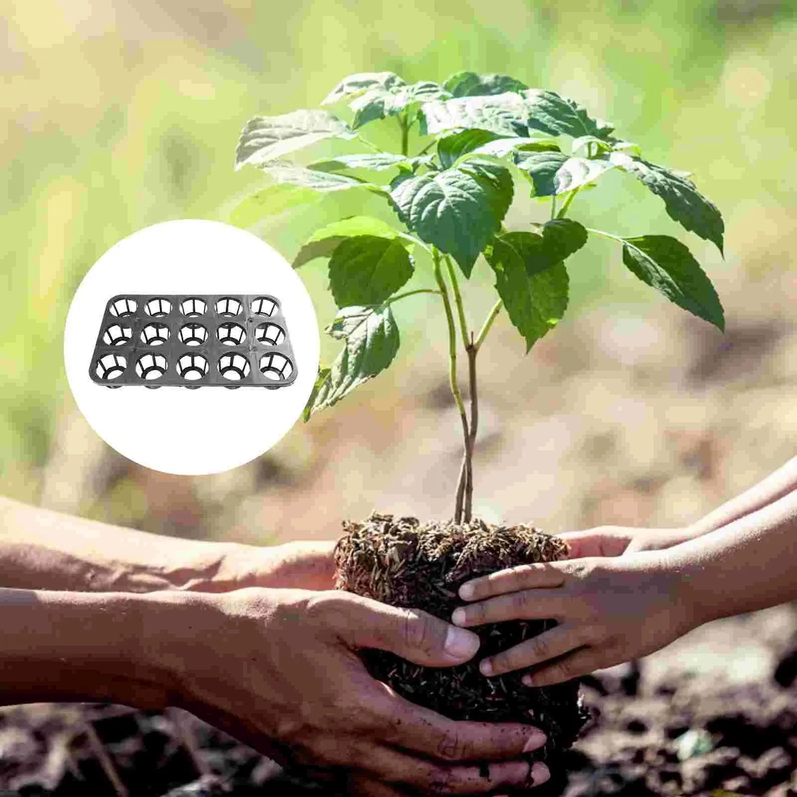 5PCS Phalaenopsis Tray Plant Germination Trays Planter Fruits Sowing Supply Garden Planting Nursery Greenhouse Plates Plastic Tray