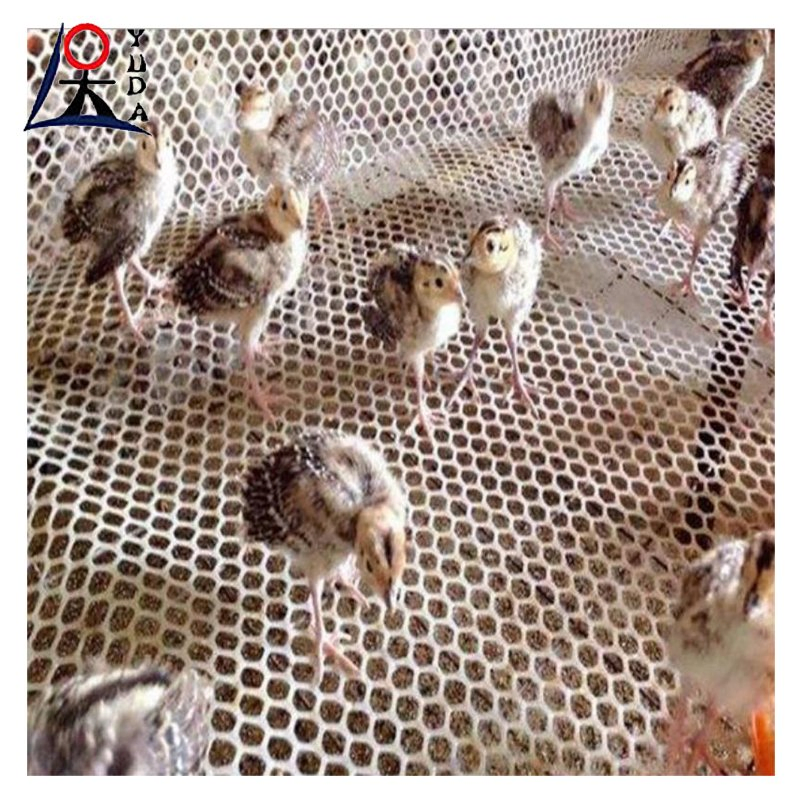 Mattress Plastic Mesh Plastic Mesh for Aquaculture