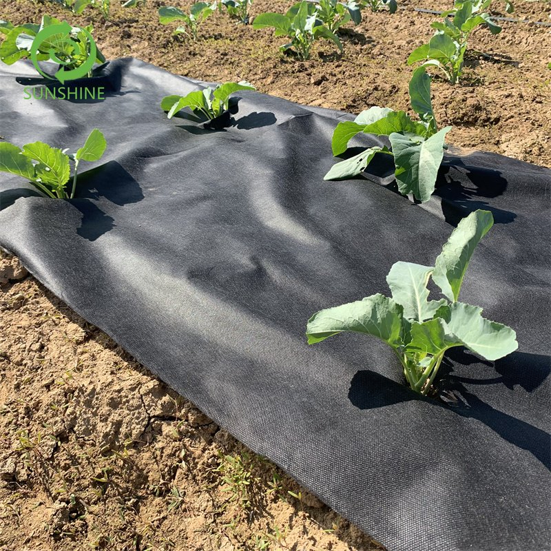 Best Quality Anti-UV Weed Control PP Non-Woven Fabric/Garden Landscaping/Landscape Nonwoven Fabric for Agriculture Cover