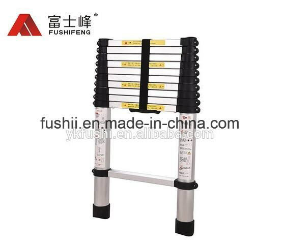 Aluminum Multi Purpose Ladder with 12 Steps