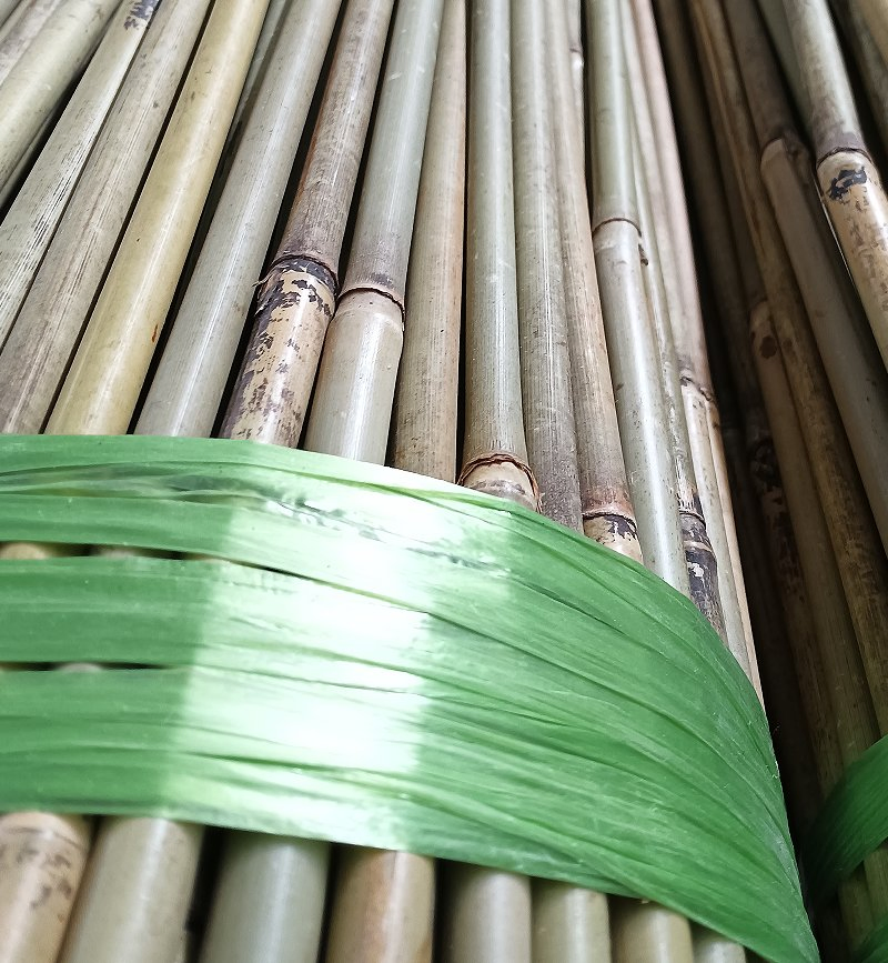 Bamboo Pole Bulk Supplier/Bamboo Plant Support