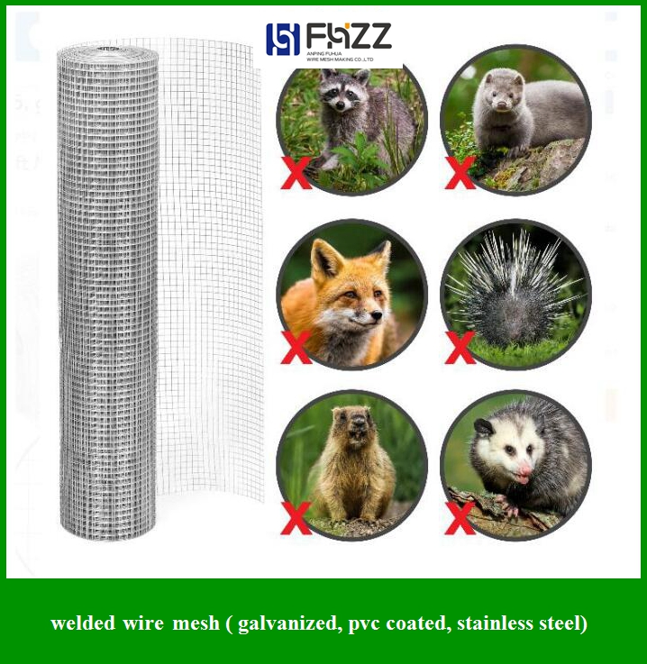 1/2 High Quality Galvanzied Hot Dipped Steel Welded Wire Mesh