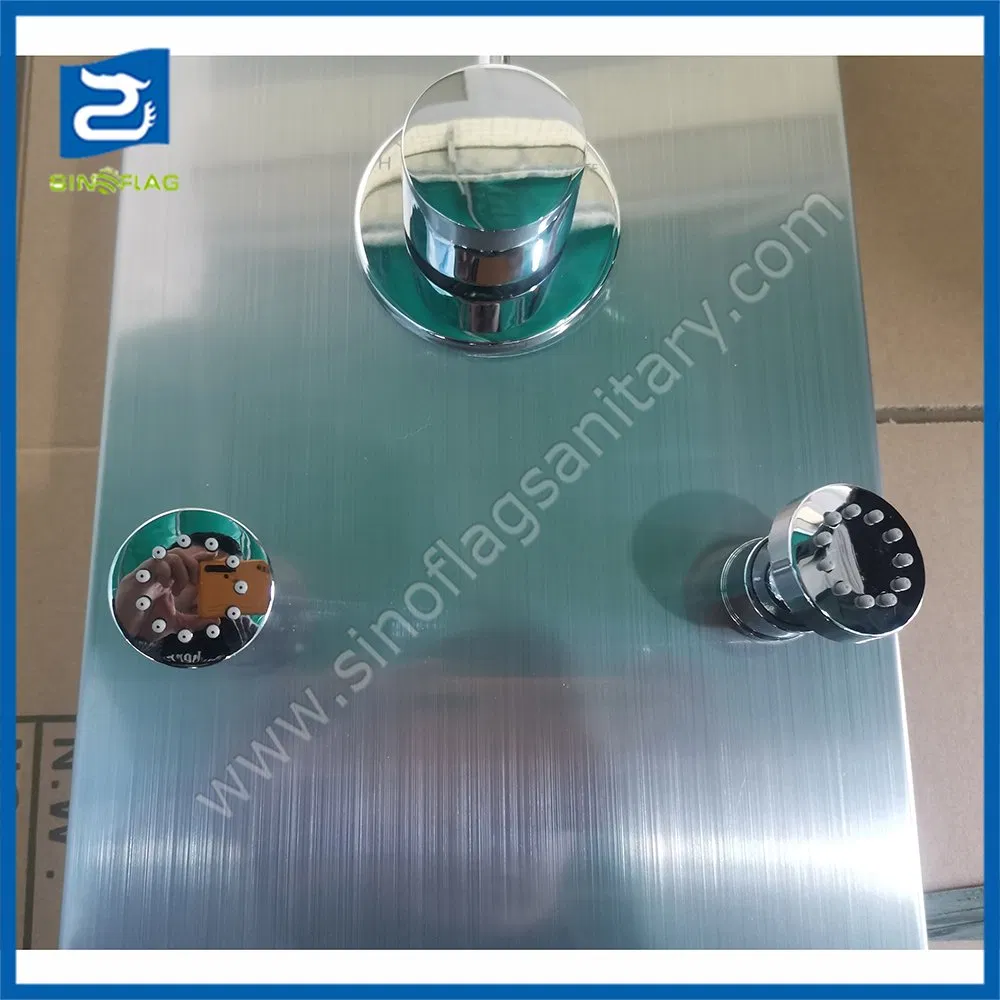 Stainless Steel 304 Shower Panel with 6PCS Back Shower