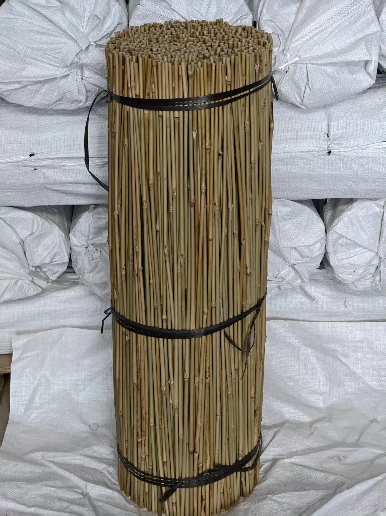 Tonkin Bamboo Pole Stake Stick Cane for Plant/Tree/Flower Support Bamboo Y