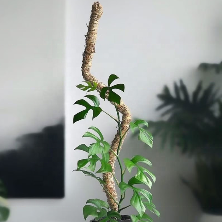 Набор садовый оцинкованный инструменты моховые столбы горшки