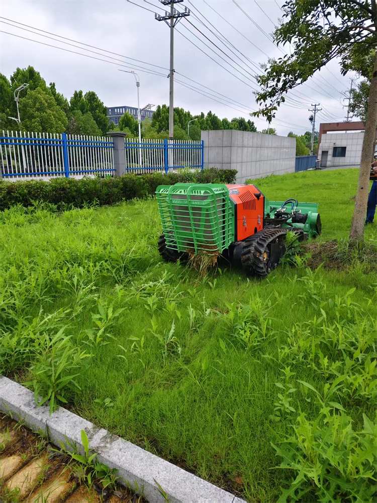 Heavy Duty Mulcher Pioneer Machine Lawn Mower Robot Remote Control Mountain Weed Shrub Crusher
