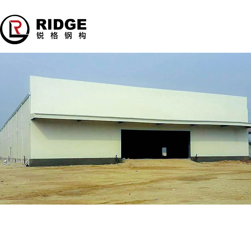 Customized Shed Wide Span Roof Industrial Steel Structure Building with Design