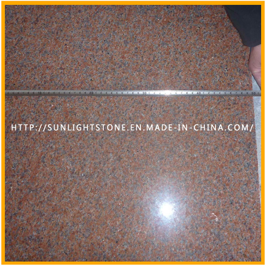 China Red Stone Polished Tianshan Red Granite for Tiles Stairs/Steps