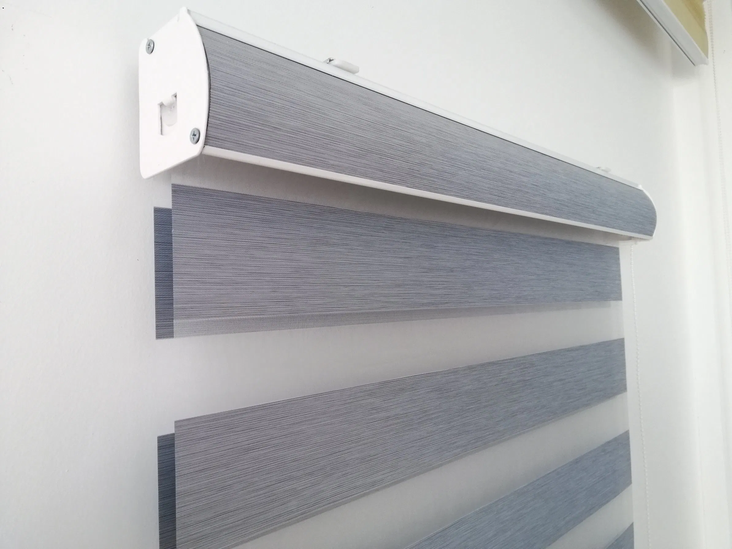 New Design Window Zebra Blinds with Dust Cover Inside Mount