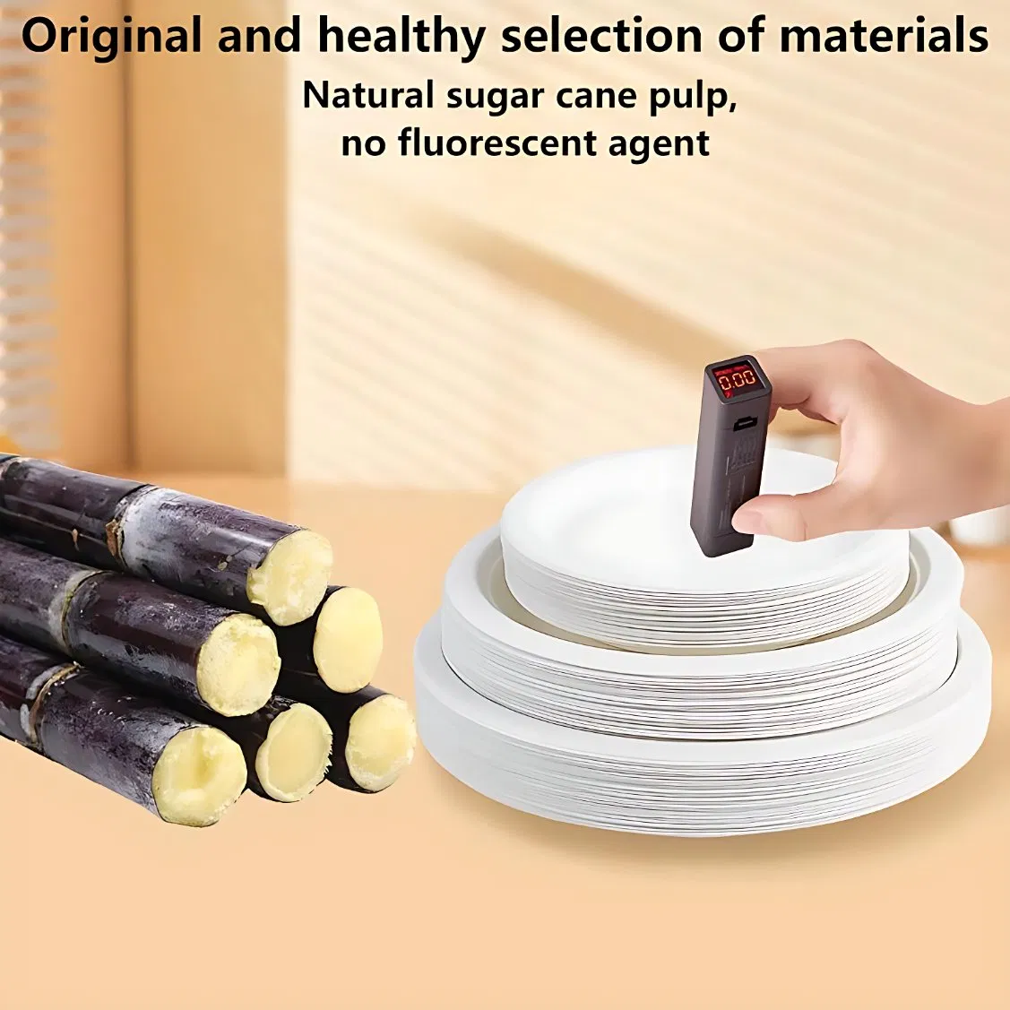 Custom Printed Biodegradable Plate for Restaurant and Catering Use