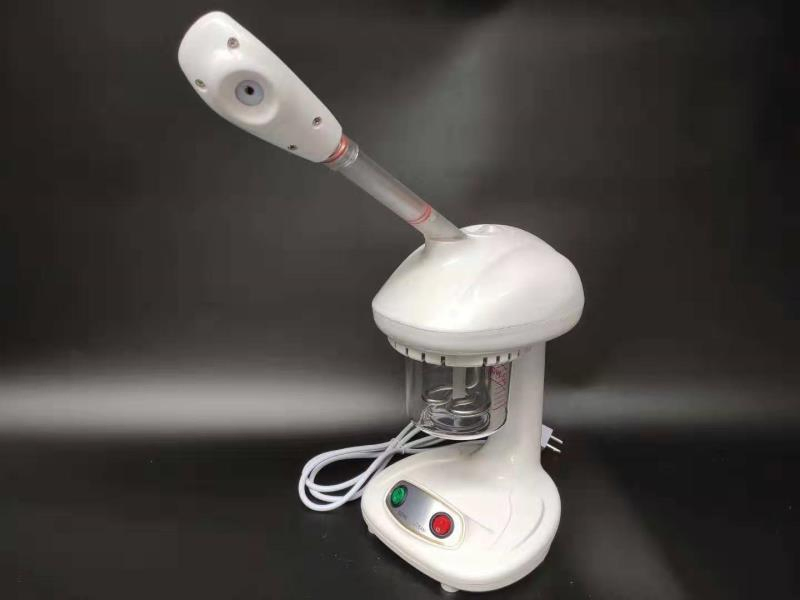 Household Hot Ionic Nano Face Steamer SPA Sauna Machine Professional Steamer Facial