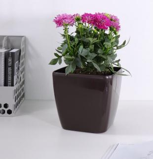 Big Square Painted Flowerpot, Plastic Planter